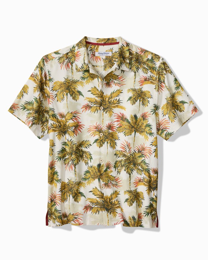 Tommy ST327655 Coastal ease palm